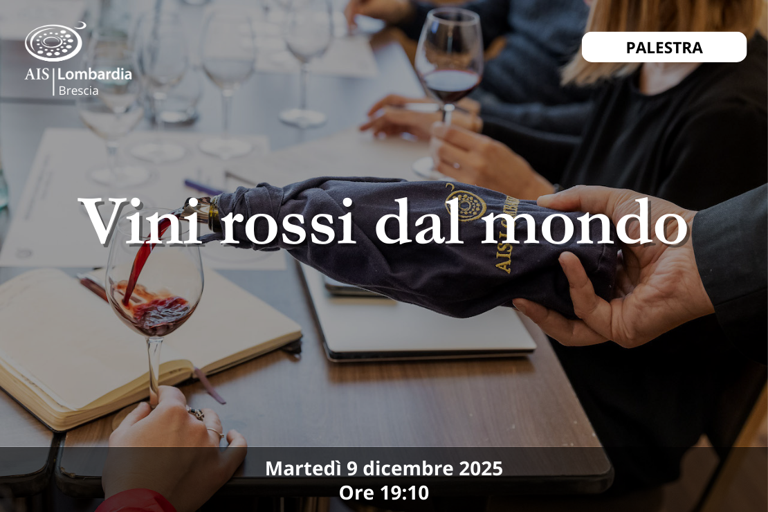 Palestra - Vini rossi dal mondo