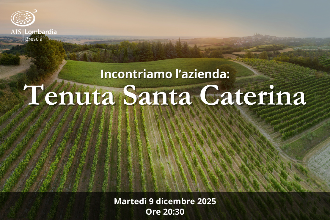 Azienda -  Due verticali con l'azienda Tenuta Santa Caterina
