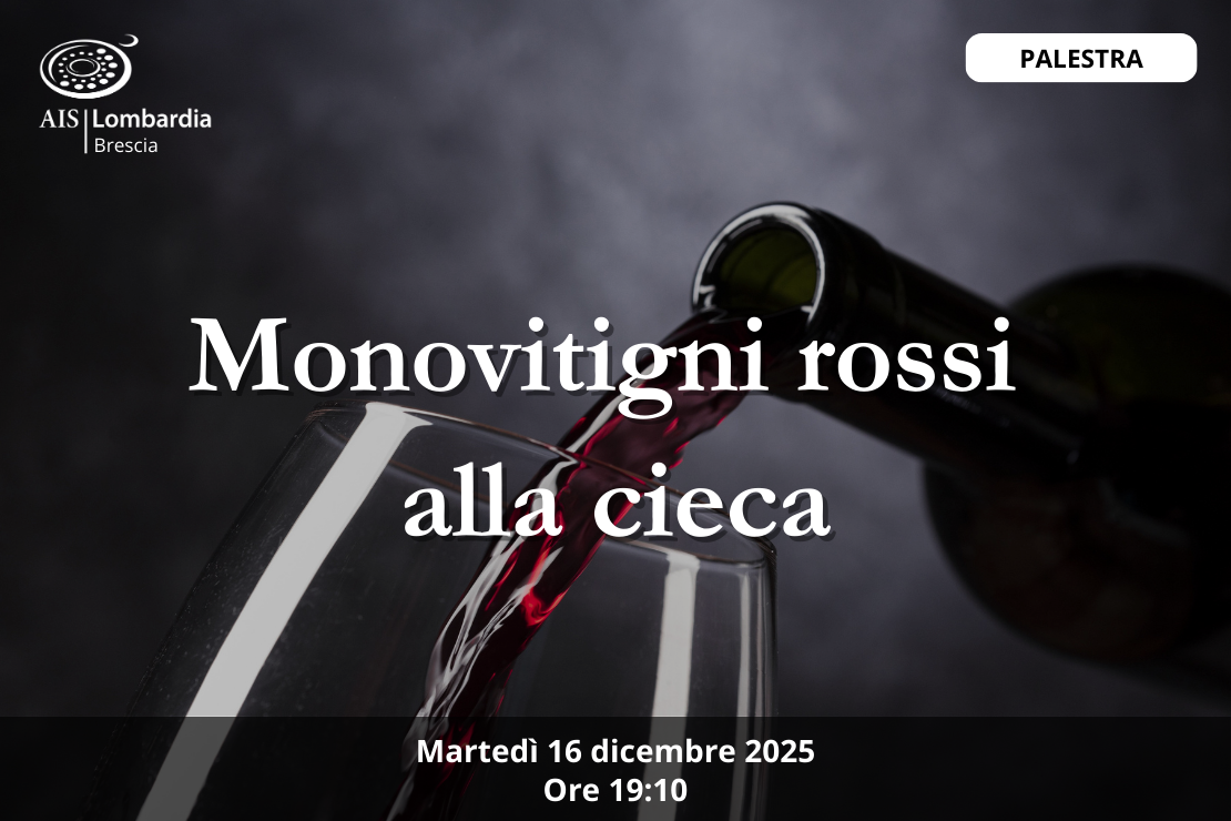 Palestra - Monovitigni rossi alla cieca
