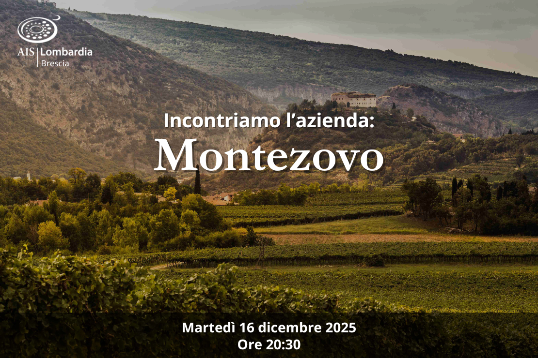 Azienda - L'azienda si presenta con la cantina Montezovo
