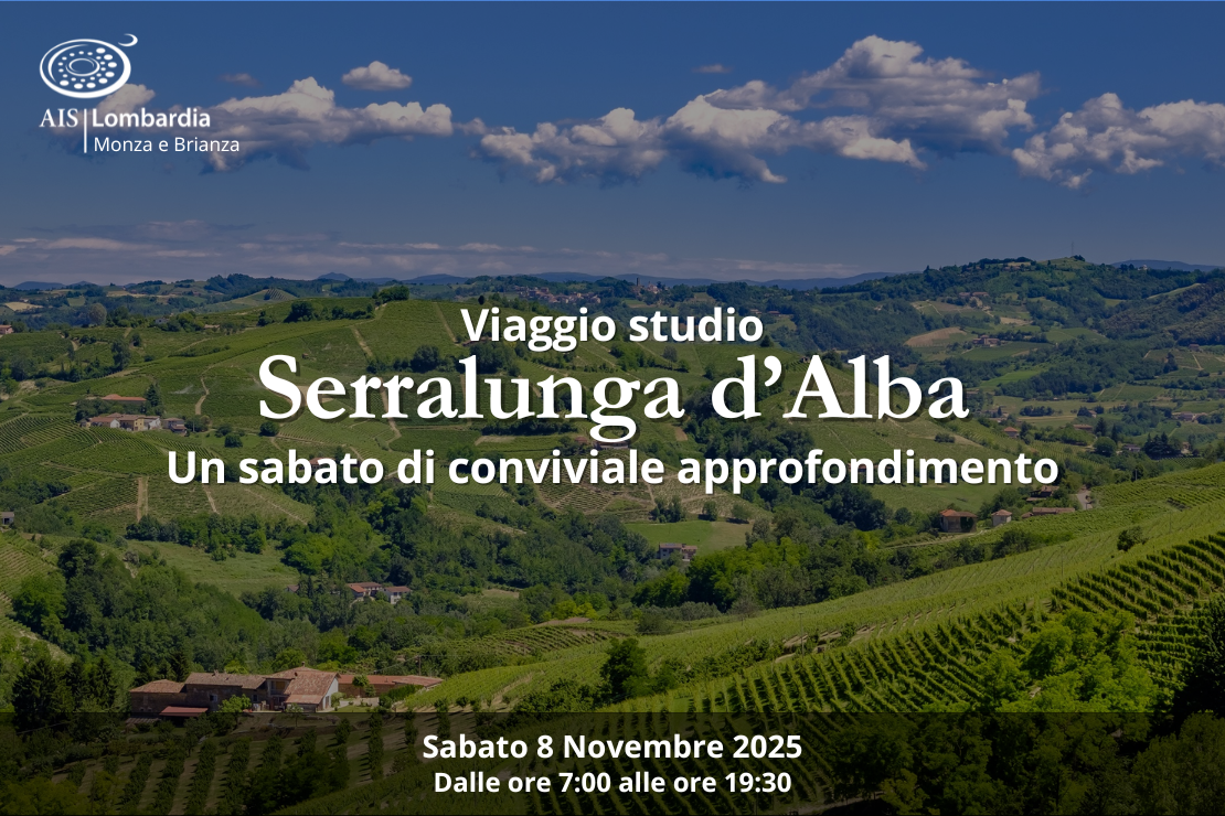 Viaggio Studio. Serralunga d'Alba