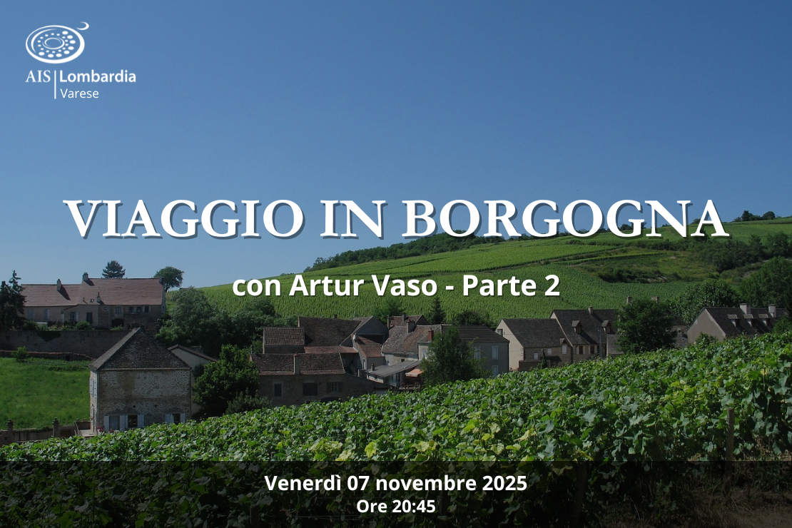 Viaggio in Borgogna con Artur Vaso - Parte 2