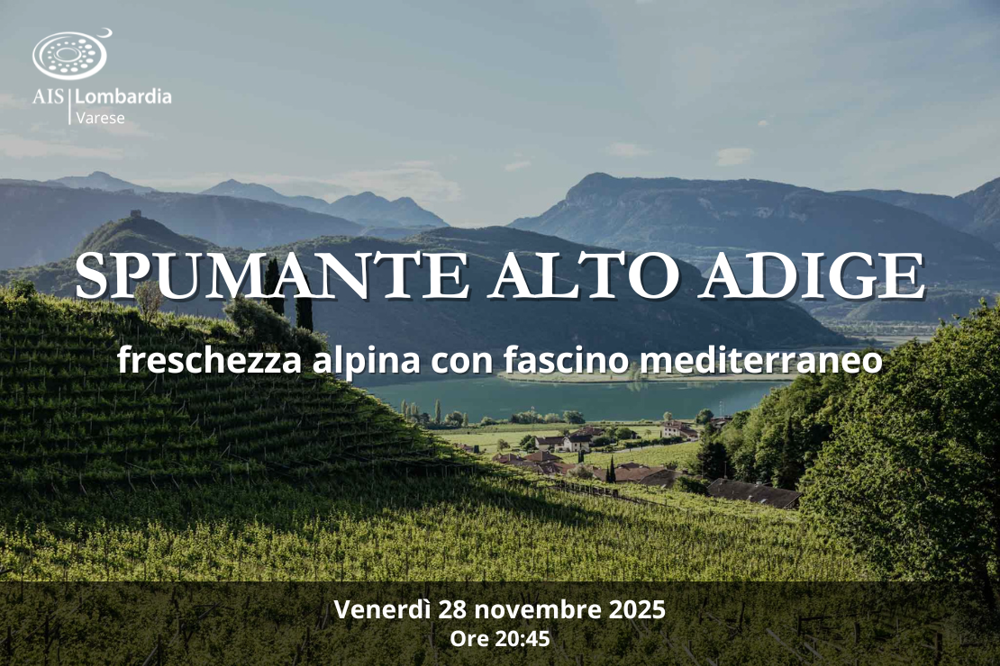 Spumante Alto Adige: freschezza alpina con fascino mediterraneo