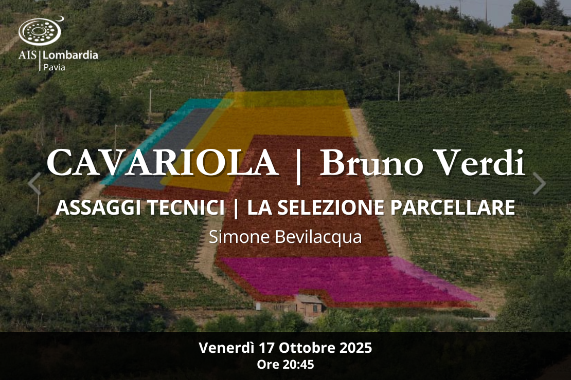 Cavariola Bruno Verdi | Assaggi tecnici |  Selezione parcellare
