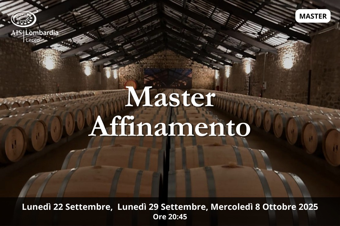 Master | Affinamento, tecniche ed influenze sul vino