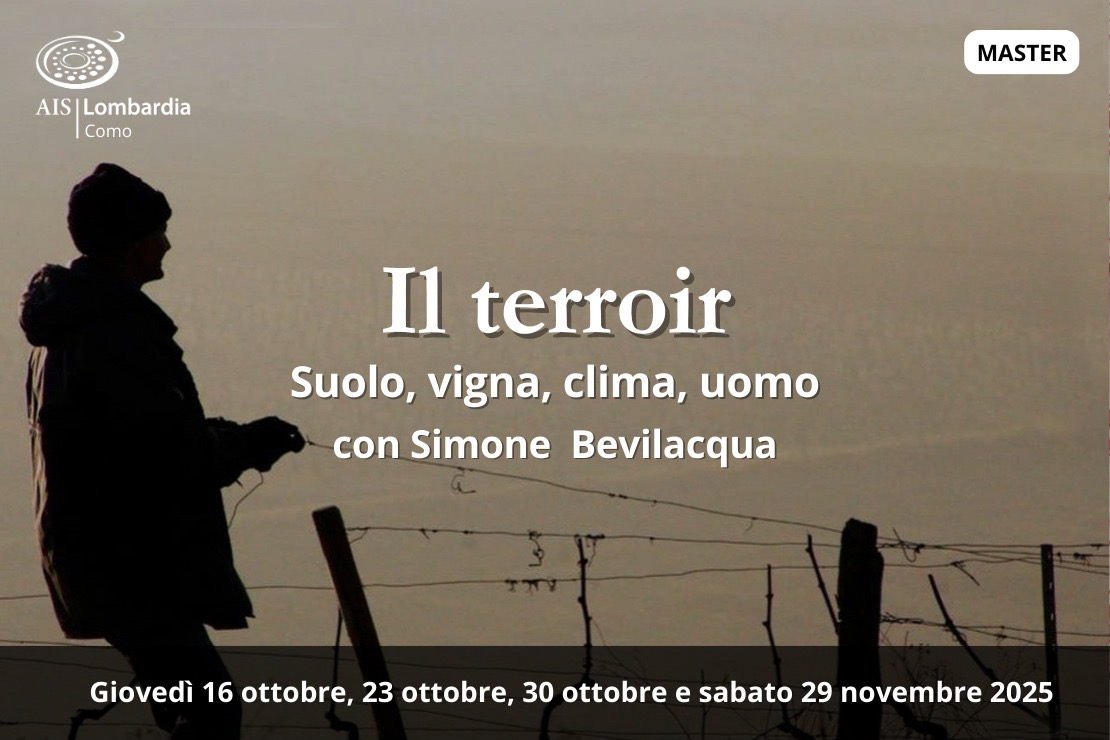 Master: Il terroir. Suolo, vigna, clima, uomo