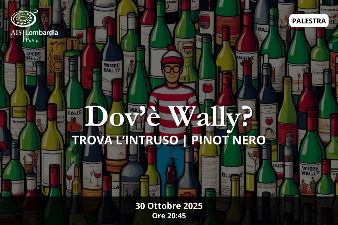 Dov'è Wally? | Trova l'intruso, Pinot nero
