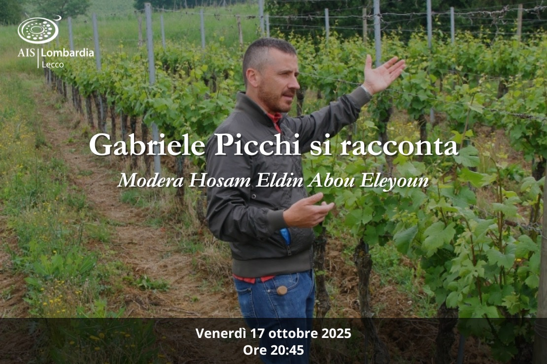 Gabriele Picchi si racconta
