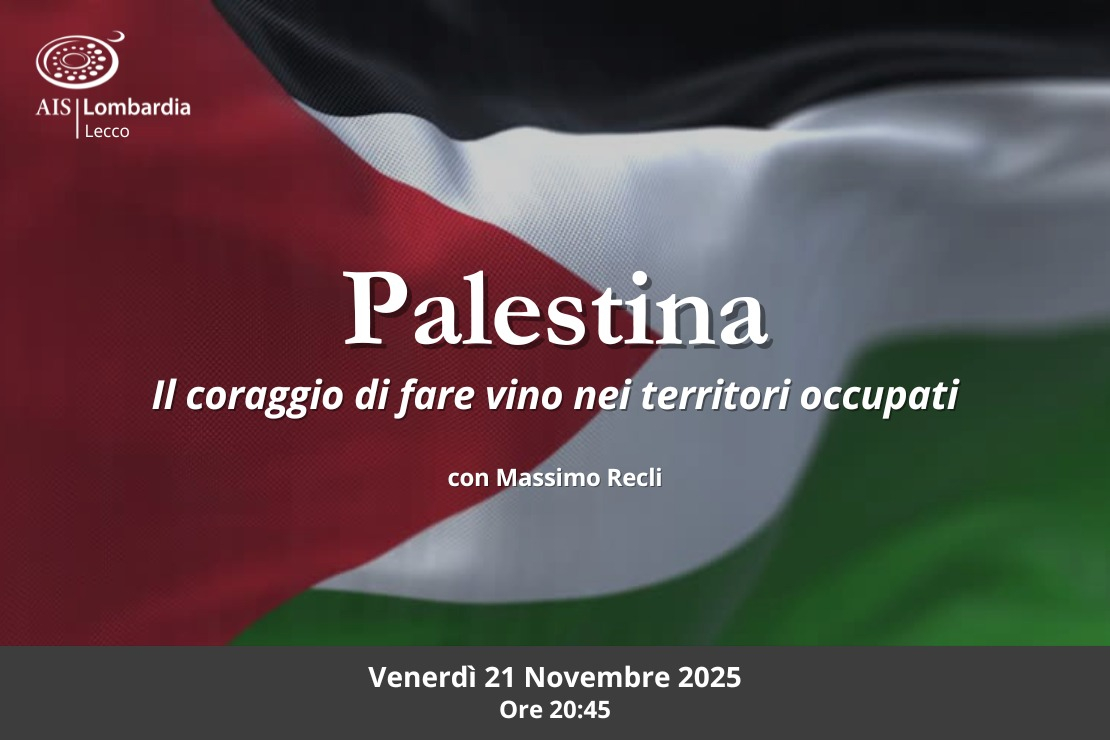 Palestina: il coraggio di fare vino nei territori occupati