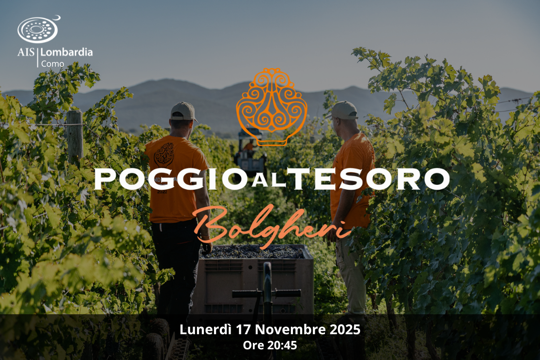 Bolgheri: i grandi rossi di Poggio al Tesoro