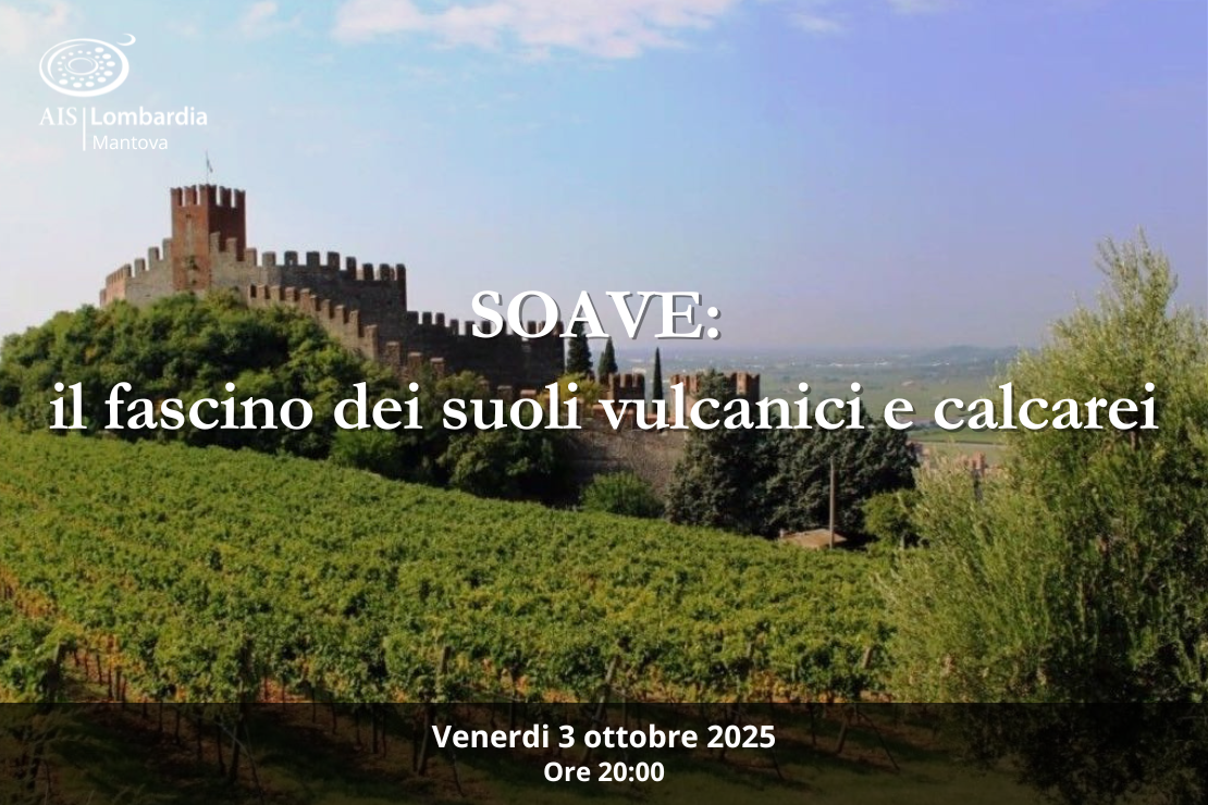 Soave: il fascino dei suoli vulcanici e calcarei