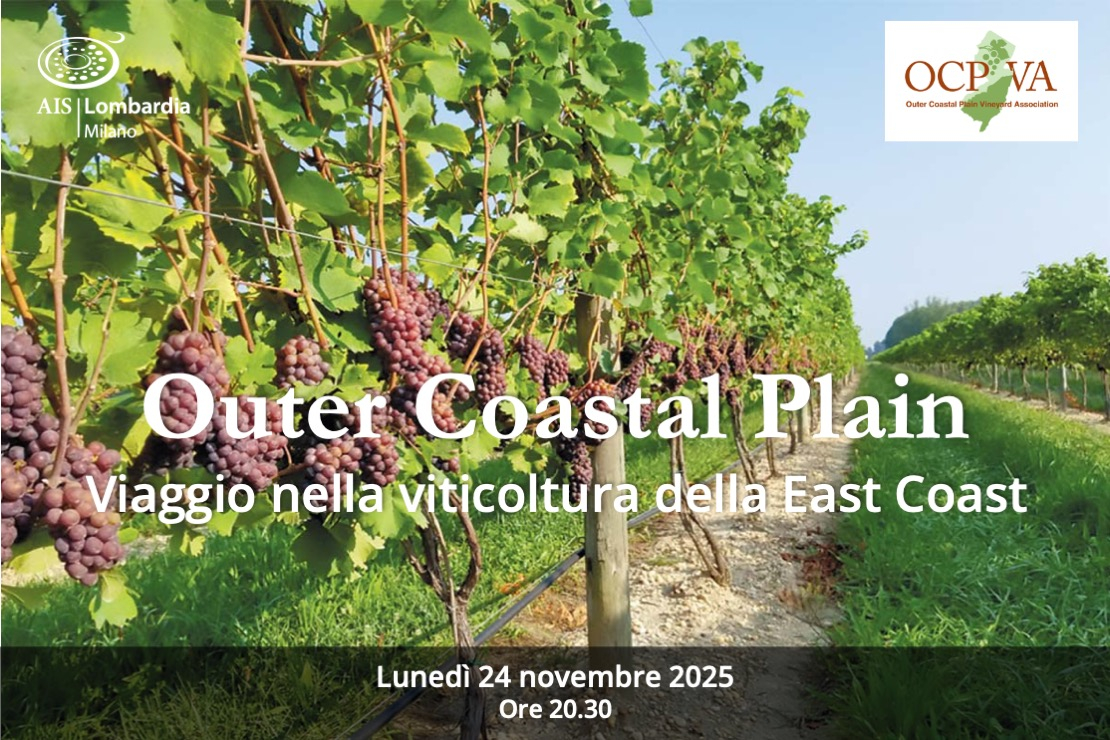 Viaggio nella viticoltura della East Coast