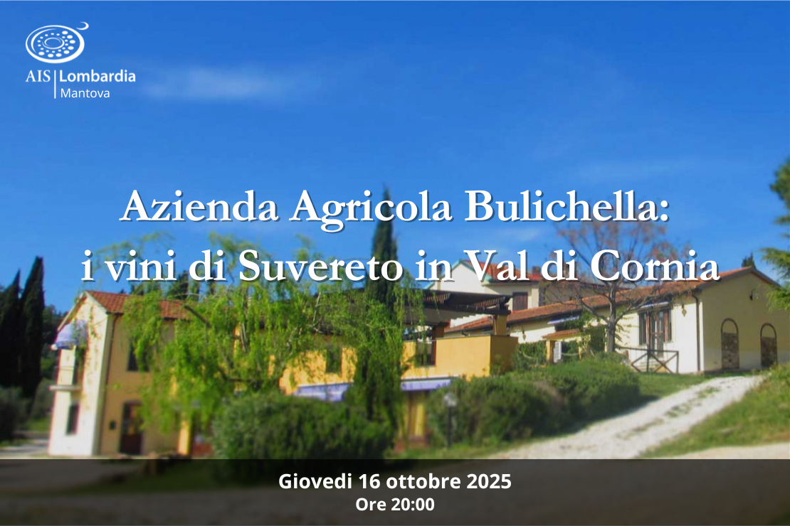 Azienda agricola Bulichella: i vini di Suvereto in Val di Cornia