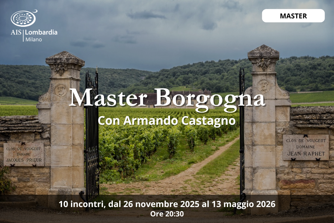 Master Borgogna