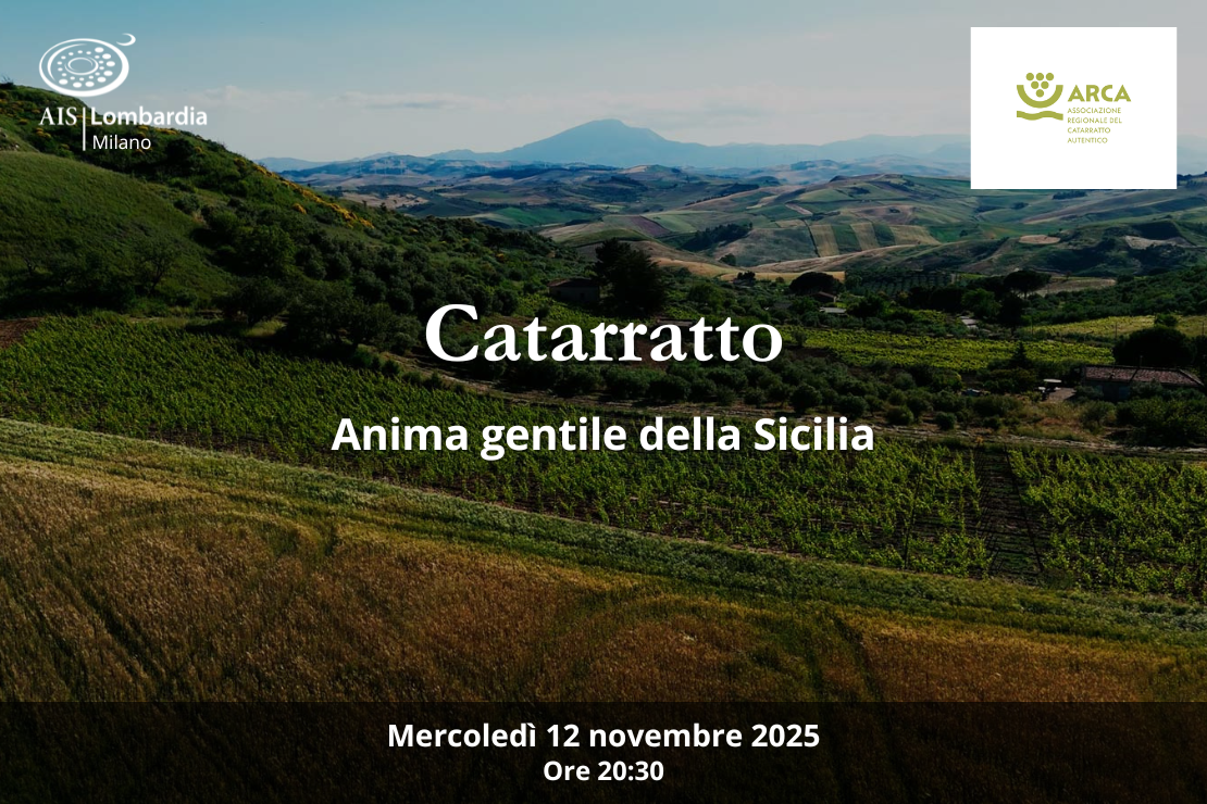 Catarratto, Anima gentile della Sicilia