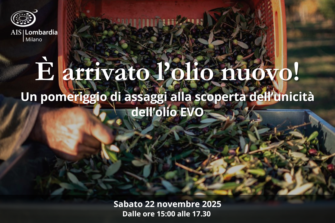 È arrivato l’olio nuovo!
