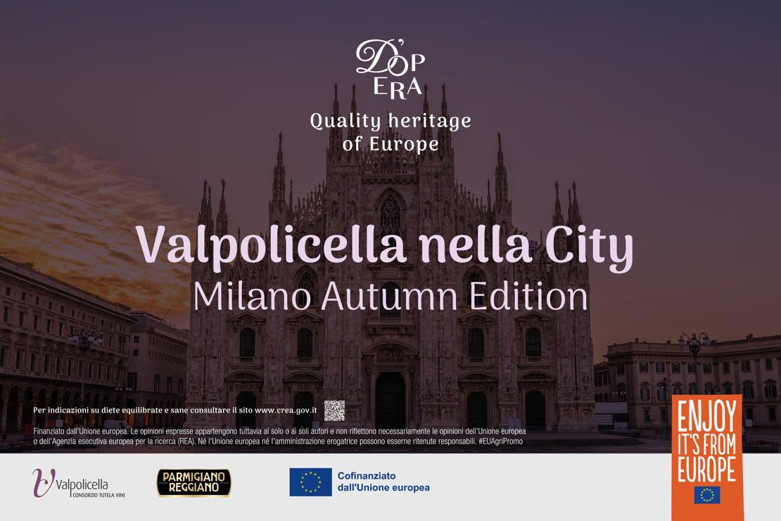 Amarone e Recioto della Valpolicella: sfumature d’appassimento e memorie del futuro