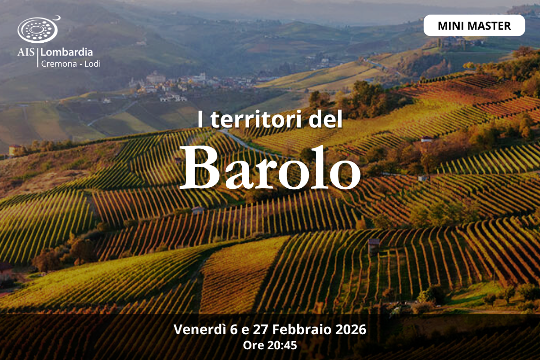 I territori del Barolo