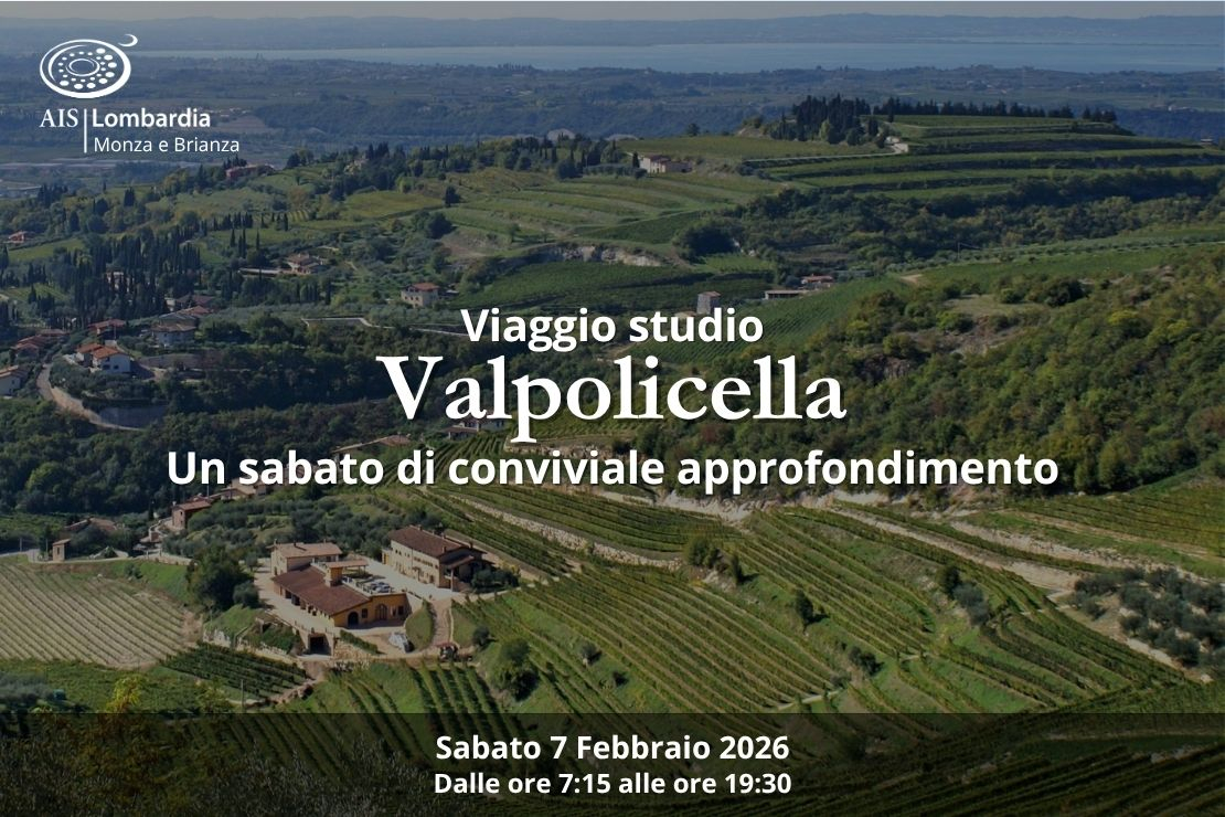 Viaggio Studio. Valpolicella