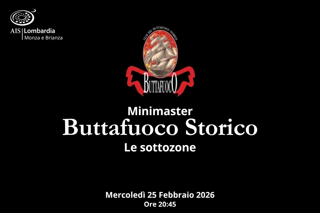 Minimaster. Buttafuoco Storico. Prima serata: le sottozone