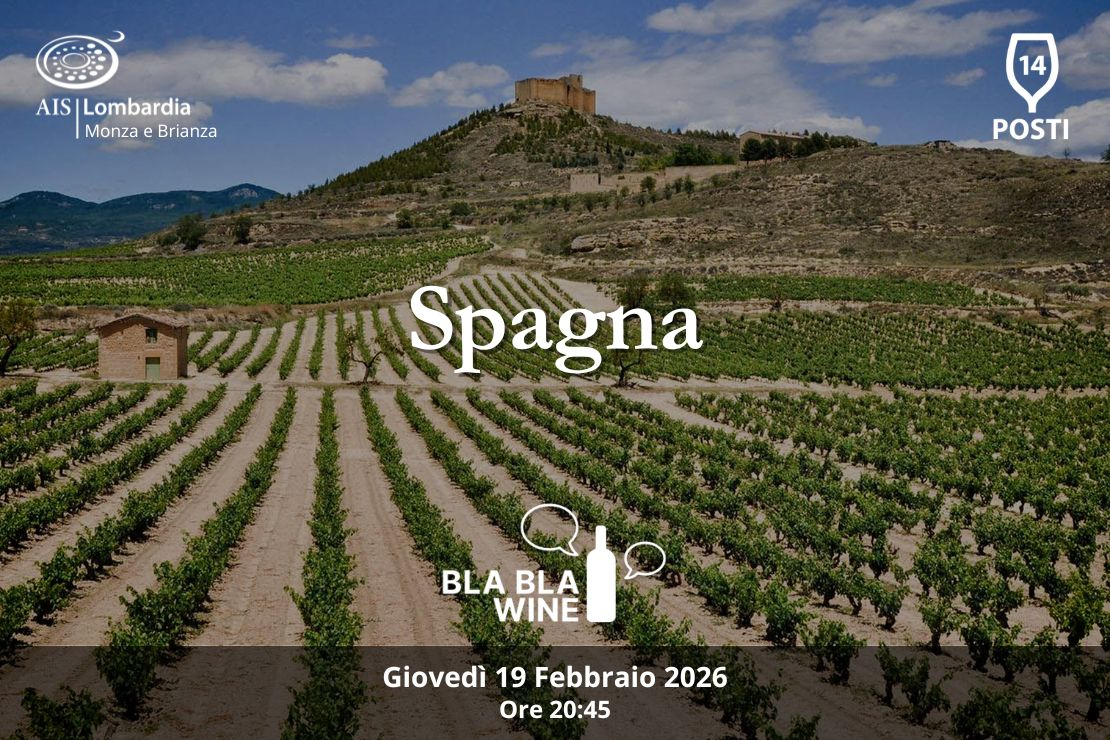 Bla Bla Wine. Spagna