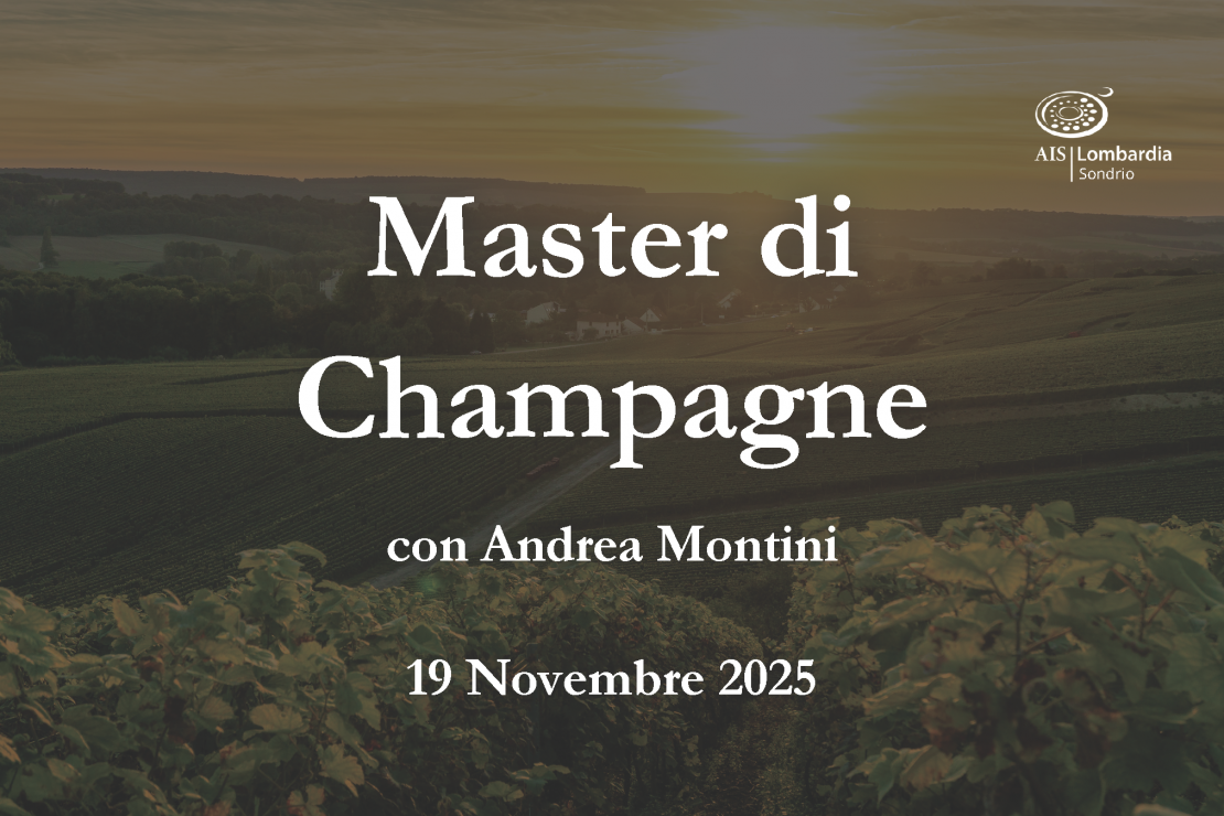 Master sullo Champagne: la Vallée de la Marne