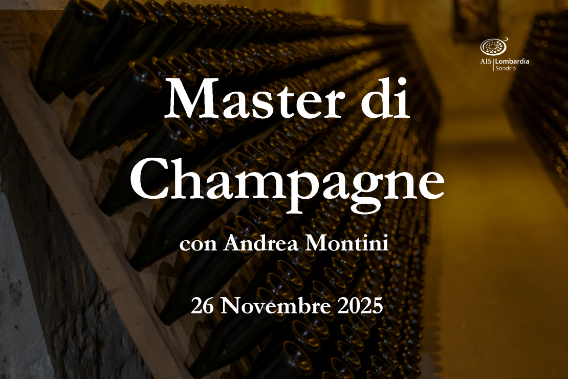 Master sullo Champagne: la Montagne de Reims