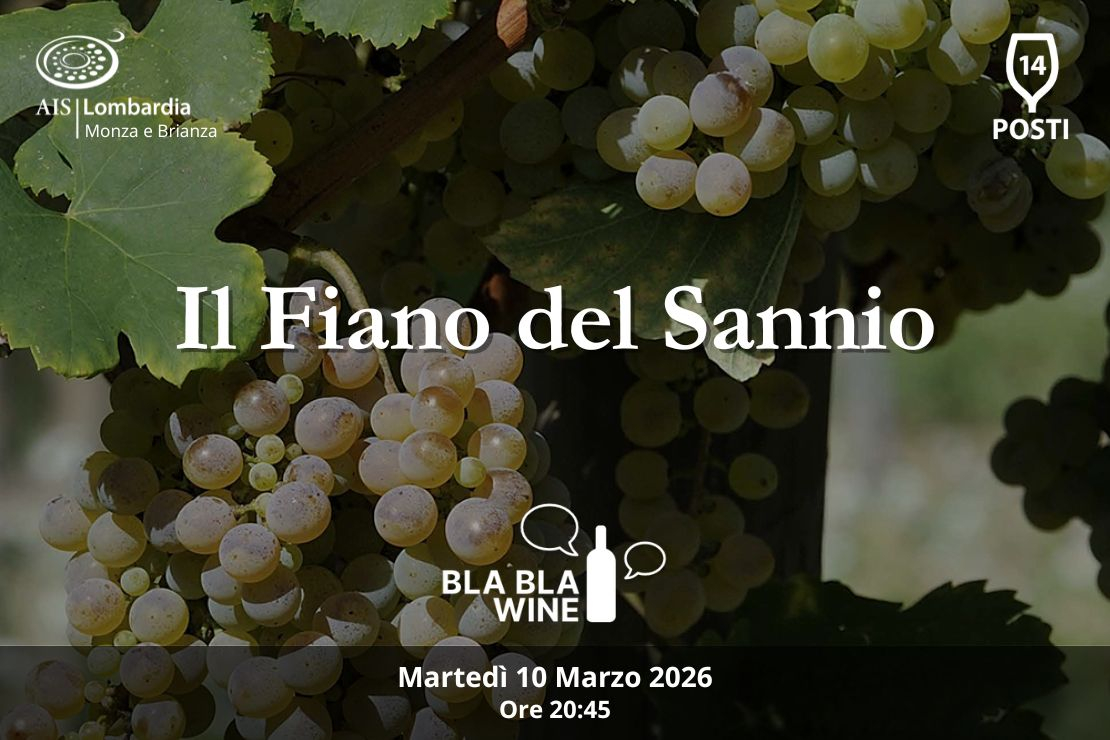 Bla Bla Wine. Il Fiano del Sannio