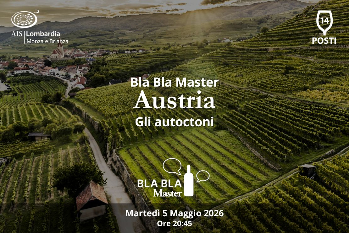 Bla Bla Master. Austria. Quarta serata: gli autoctoni