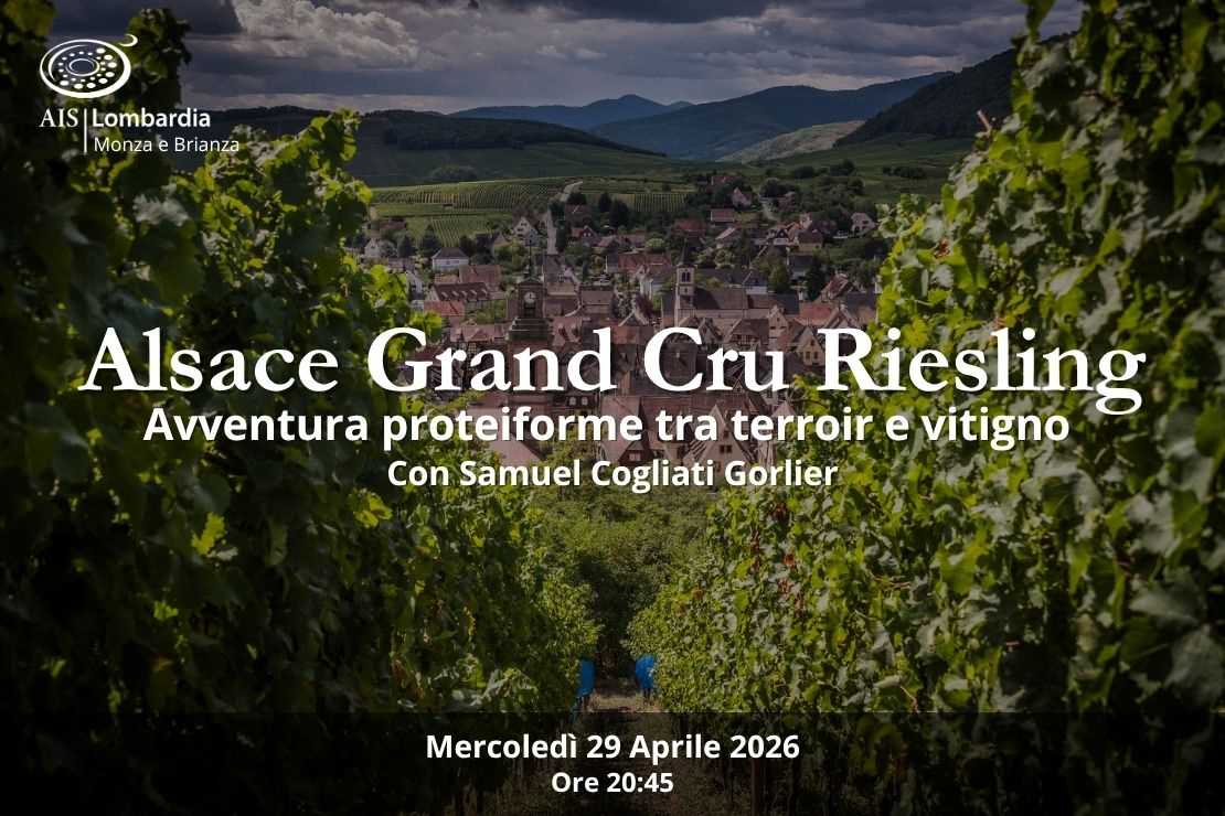 Alsace Grand Cru Riesling. Avventura proteiforme tra terroir e vitigno. Con Samuel Cogliati Gorlier