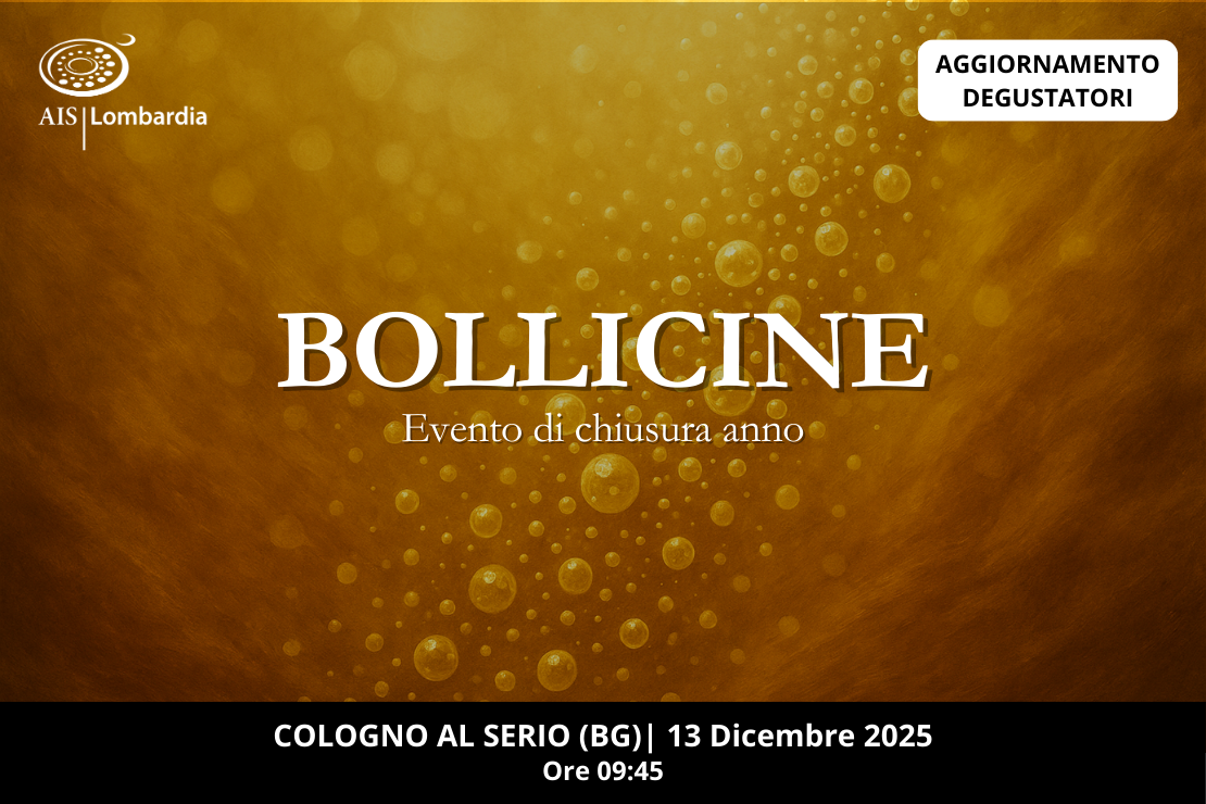 Bollicine | Evento di chiusura anno