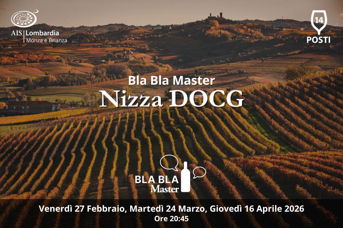 Bla Bla Master. Nizza