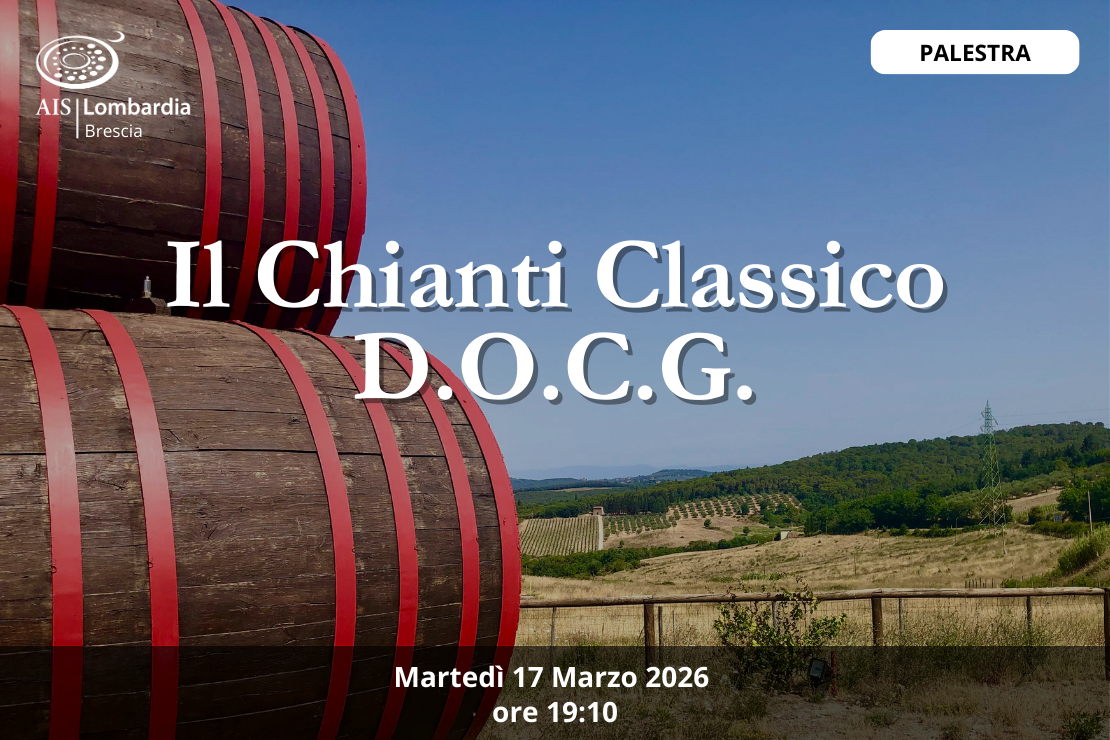 Palestra -  Il Chianti Classico D.O.C.G.