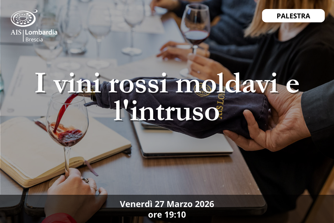 Palestra - I vini rossi Moldavi e l'intruso