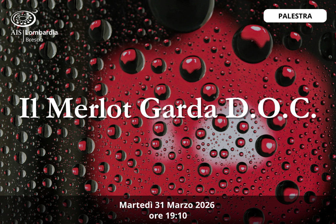 Palestra - Il Merlot, Garda D.O.C.