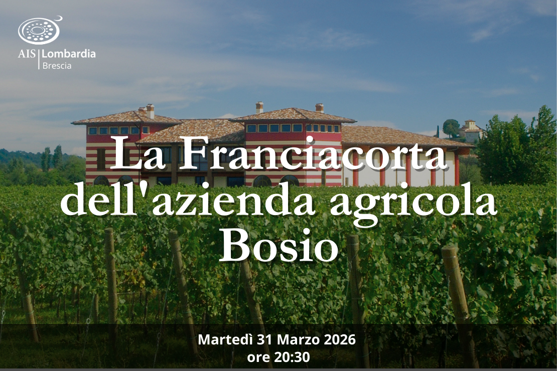 Azienda - La Franciacorta dell'azienda agricola Bosio