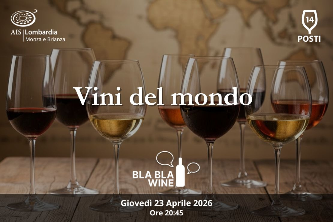 Bla Bla Wine. Vini del mondo
