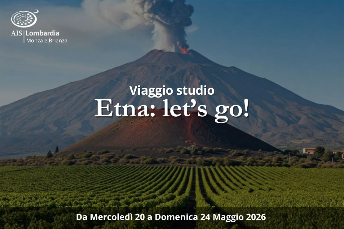 Viaggio Studio. Etna: let's go!
