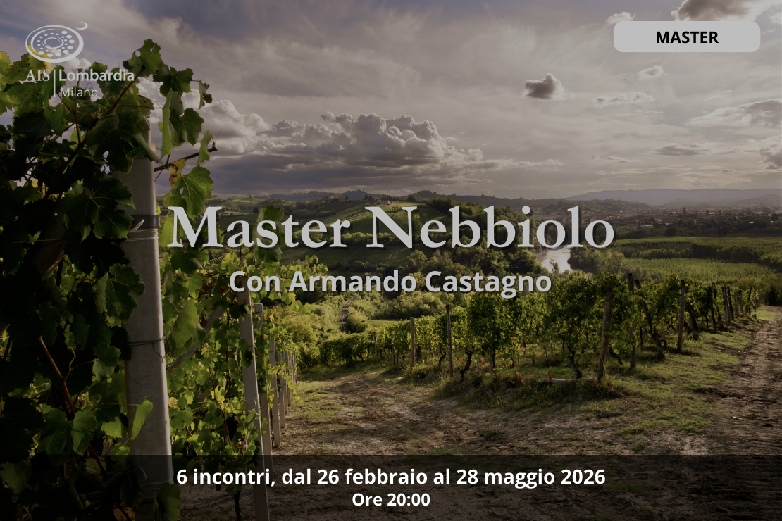 Master Nebbiolo