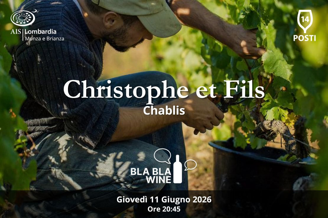 Bla Bla Wine. Christophe et Fils. Chablis