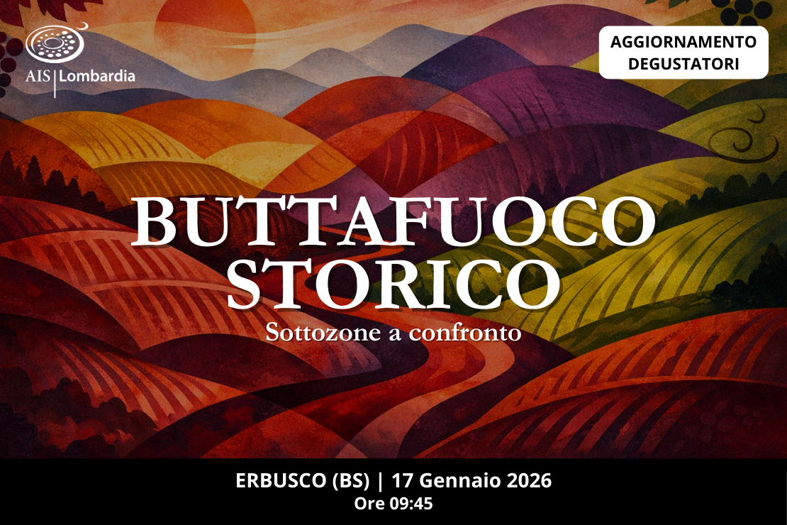 Buttafuoco | Sottozone a confronto