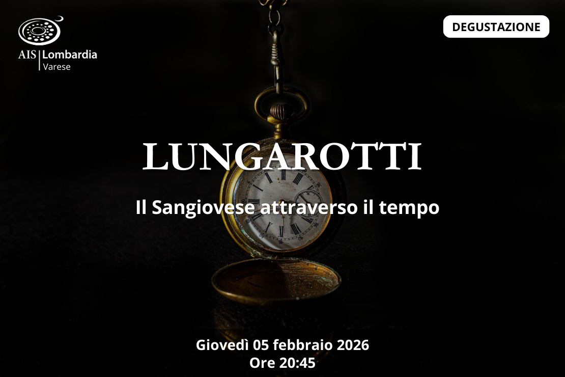 Lungarotti | Il Sangiovese attraverso il tempo