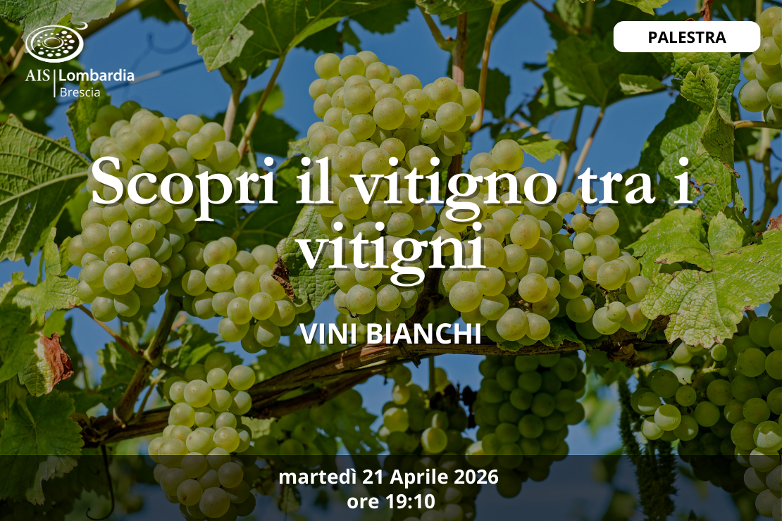 Palestra - Scopri il vitigno tra i vitigni, vini bianchi