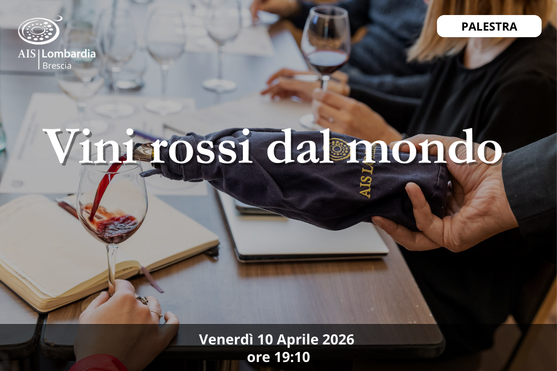 Palestra - Vini rossi dal Mondo