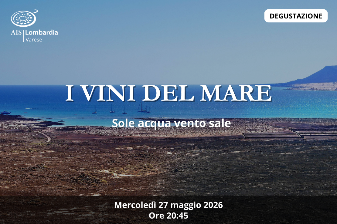 I vini del mare | Sole acqua vento sale