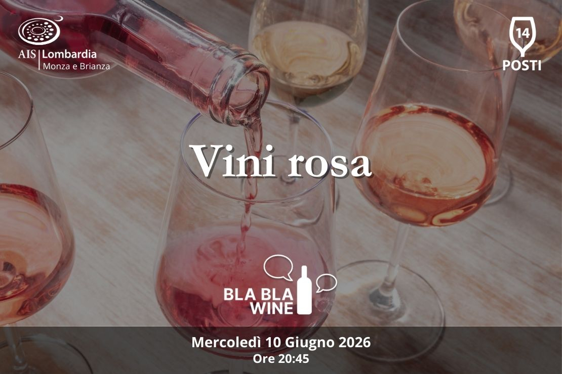 Bla Bla Wine. Vini Rosa