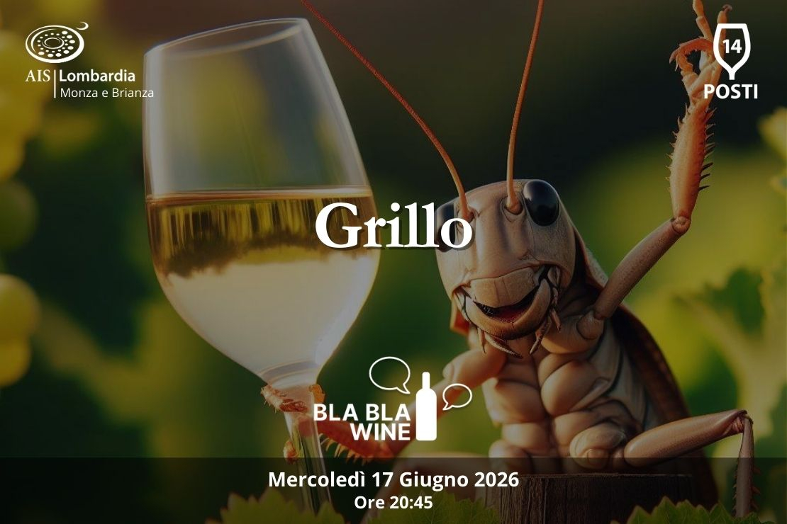 Bla Bla Wine. Grillo