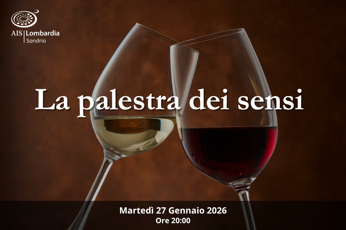 Wine Lab: Il gusto e il racconto del vino