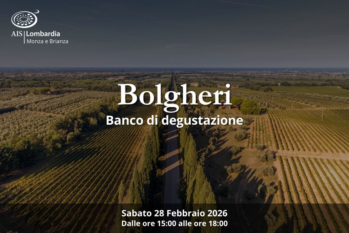Bolgheri. Banco di degustazione