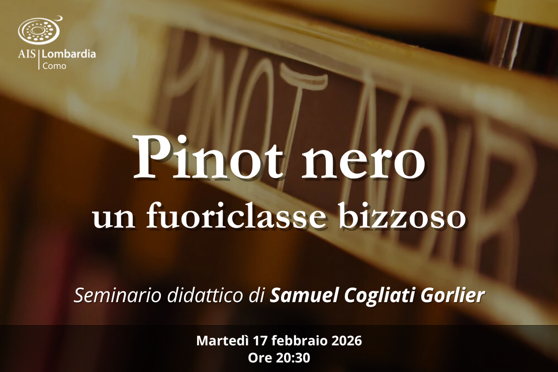 Pinot nero: Un fuoriclasse bizzoso  Seminario di Samuel Cogliati Gorlier